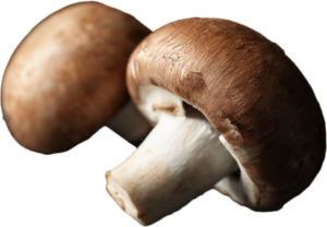 Champignons