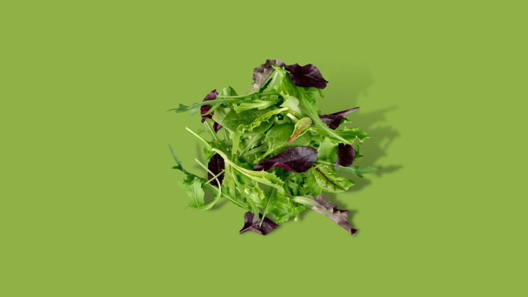 Baby leaf mix