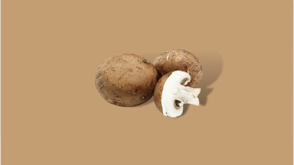 Kastanje champignons