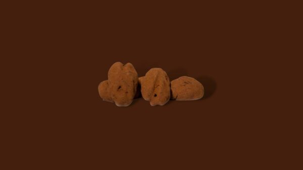 Chocolade pecan truffels