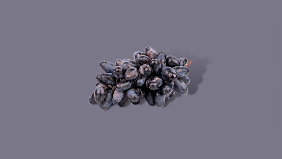 Pitloze druiven blauw