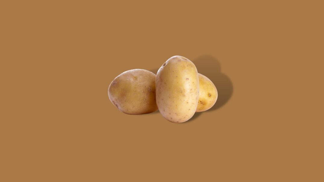 Frieslander