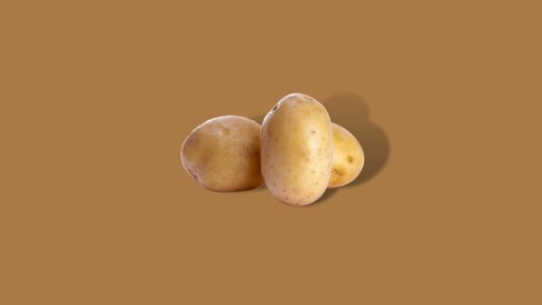 Frieslander