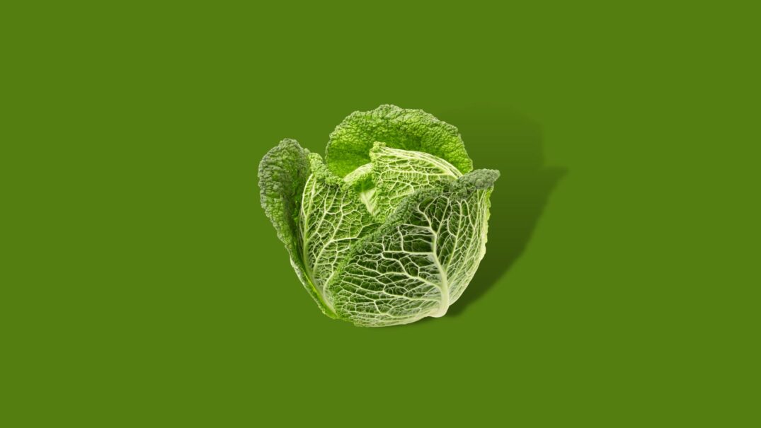 Groene kool