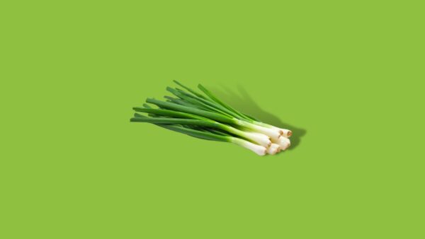Lente ui