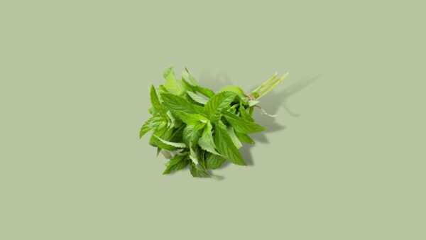 Oregano