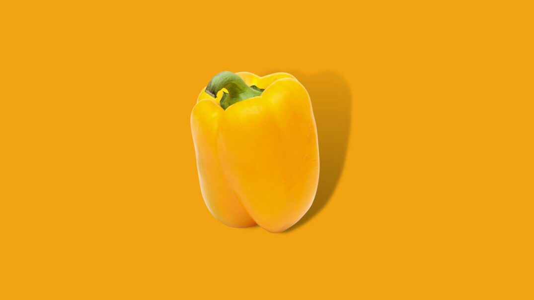 Paprika geel