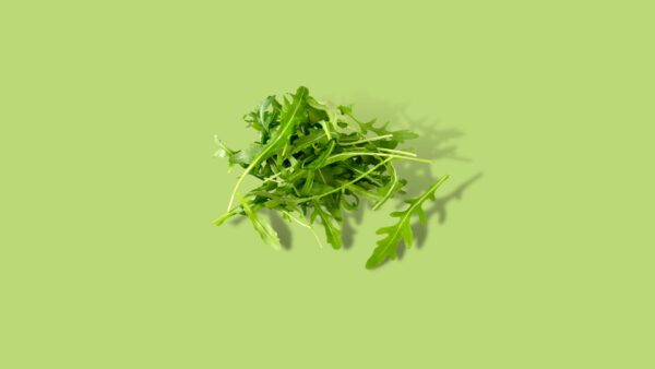 Rucola bakje