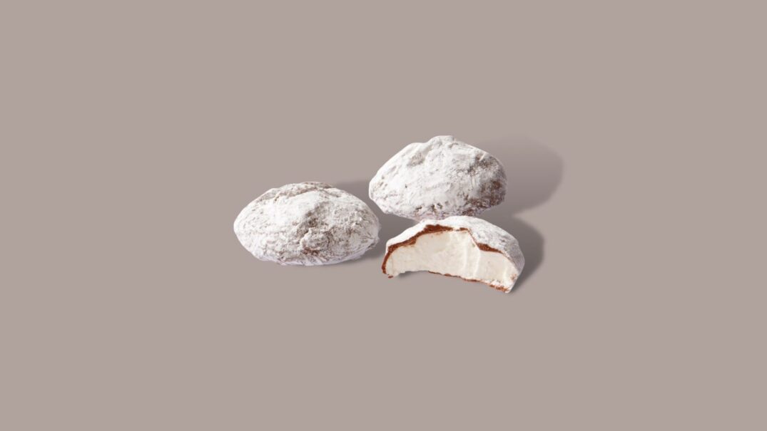 Vanille Truffels