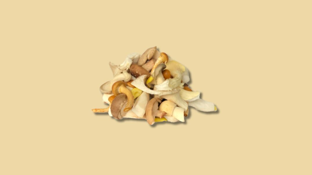 Paddenstoelenmix