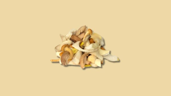 Paddenstoelenmix